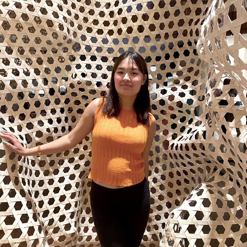 Meet your Posher, Aznii 🧡